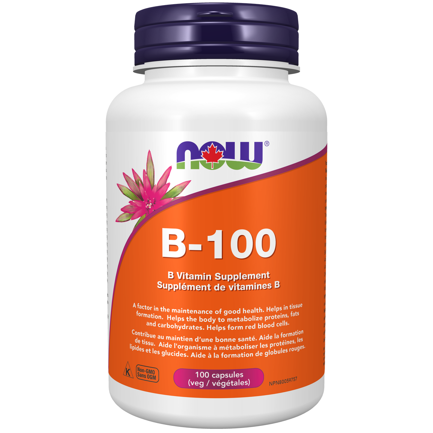 B-100, B Vitamin Supplement Veg Capsules ( S 16 )