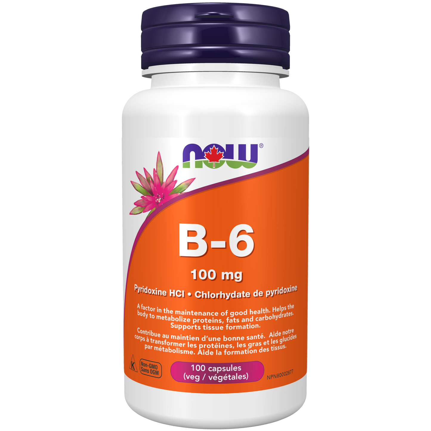 B-6 100 mg 100 Veg Capsules  ( S 16 )