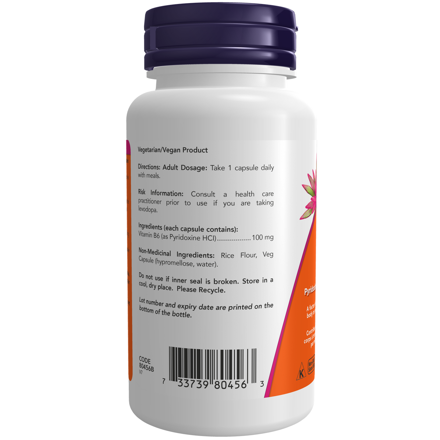 B-6 100 mg 100 Veg Capsules  ( S 16 )