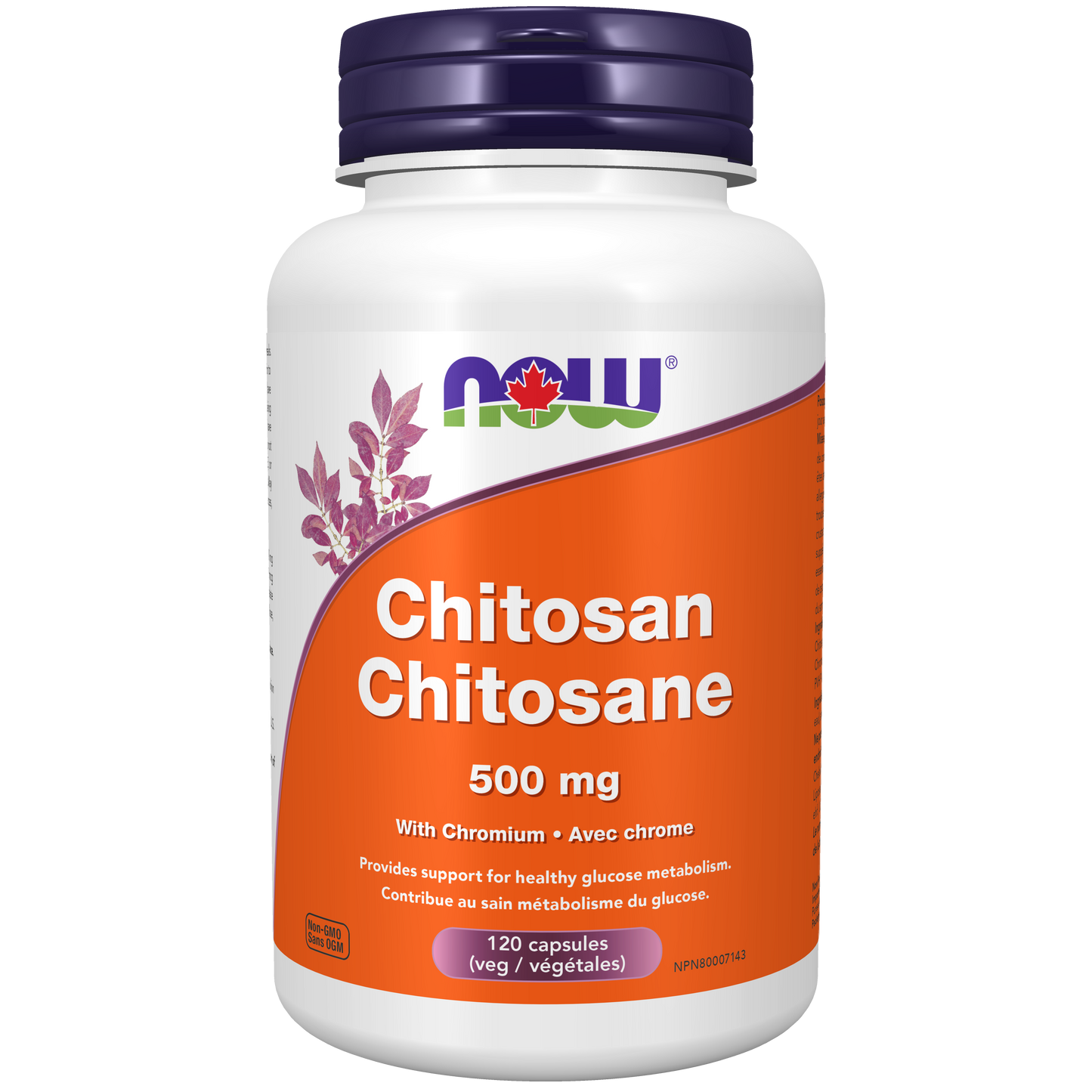 Chitosan and Chromium 120 Capsules (S29)