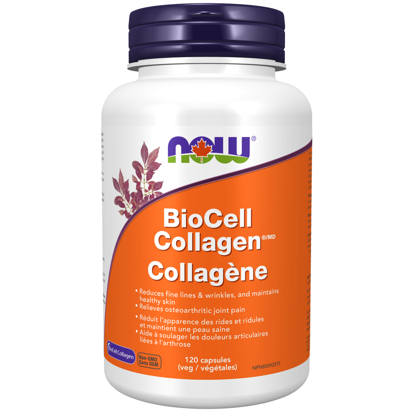 BioCell Collagen® Type II 500mg 100 Veg caps (S38)