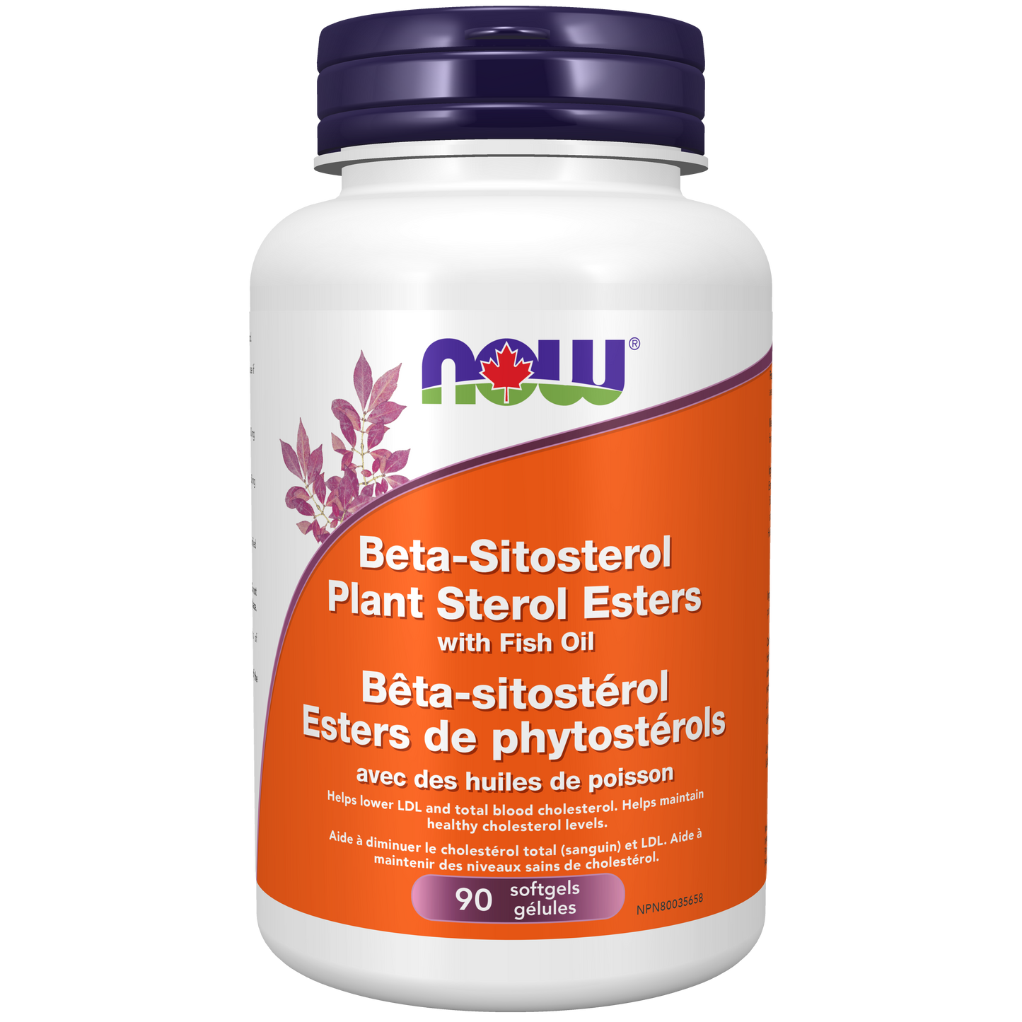Beta-Sitosterol Plant Sterol Esters with Fish Oil 90 softgels ( S 18 )