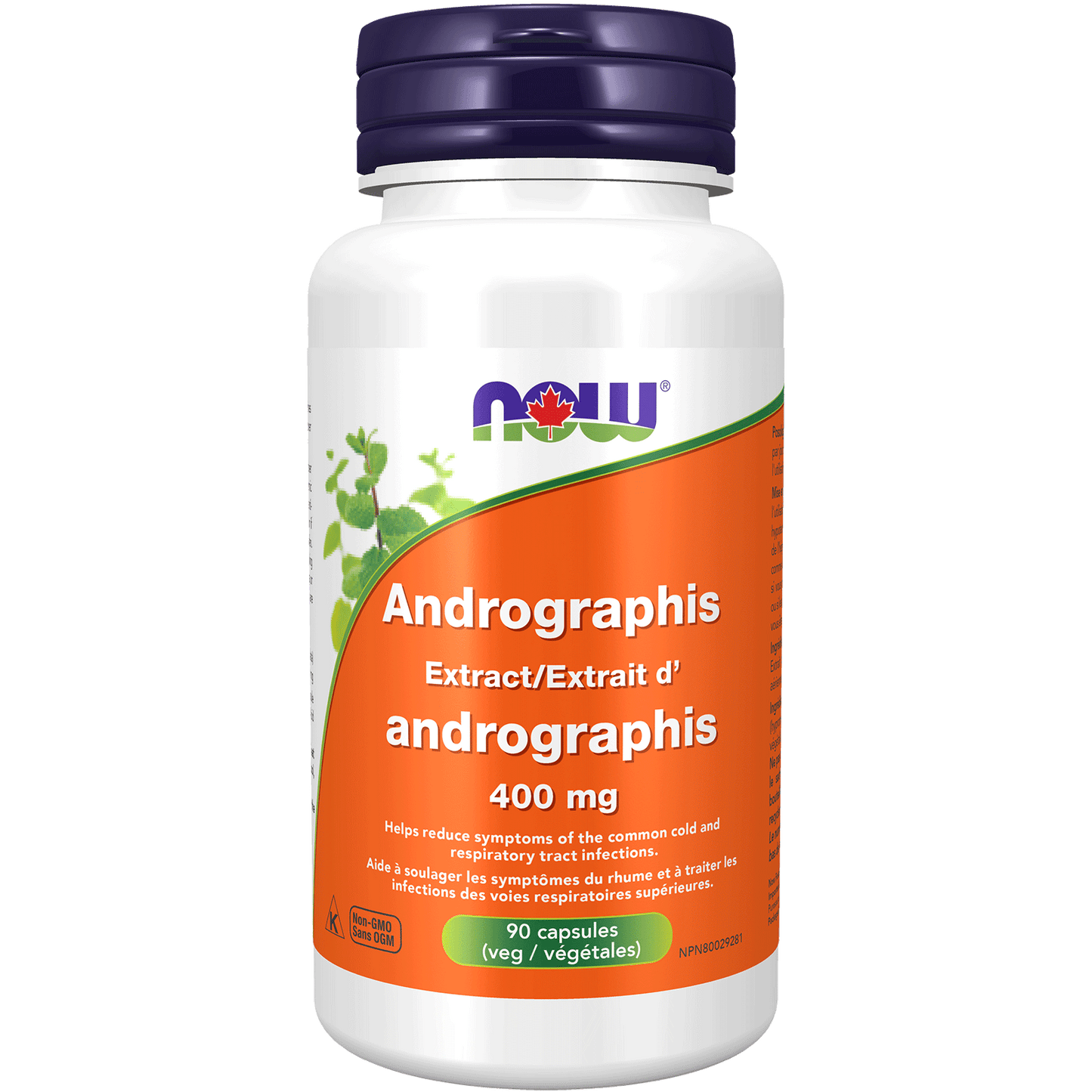 NOW Andrographis Extract 400 mg 90 Veg Capsules ( S29 )