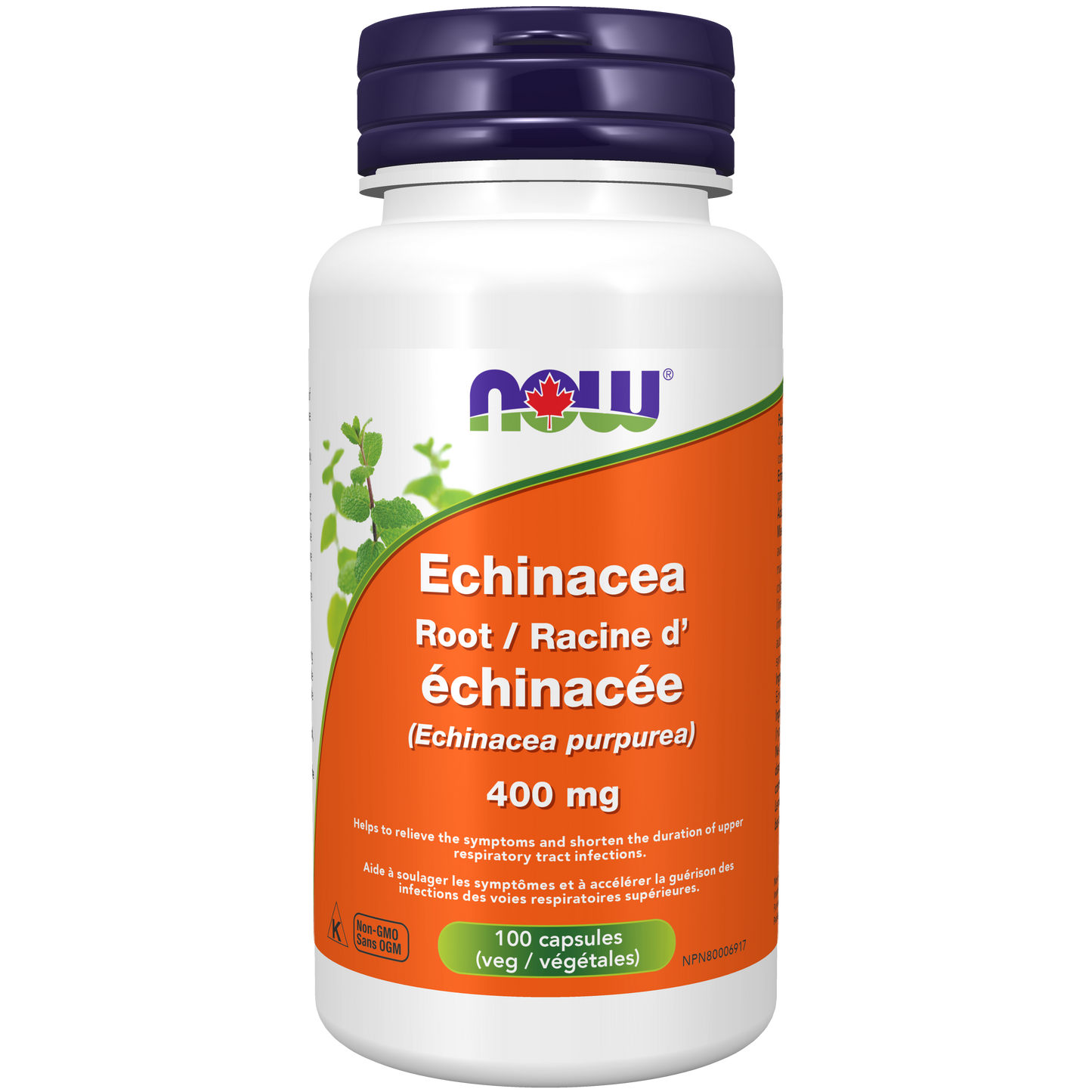 Echinacea 400 mg 100 Capsules (S29)
