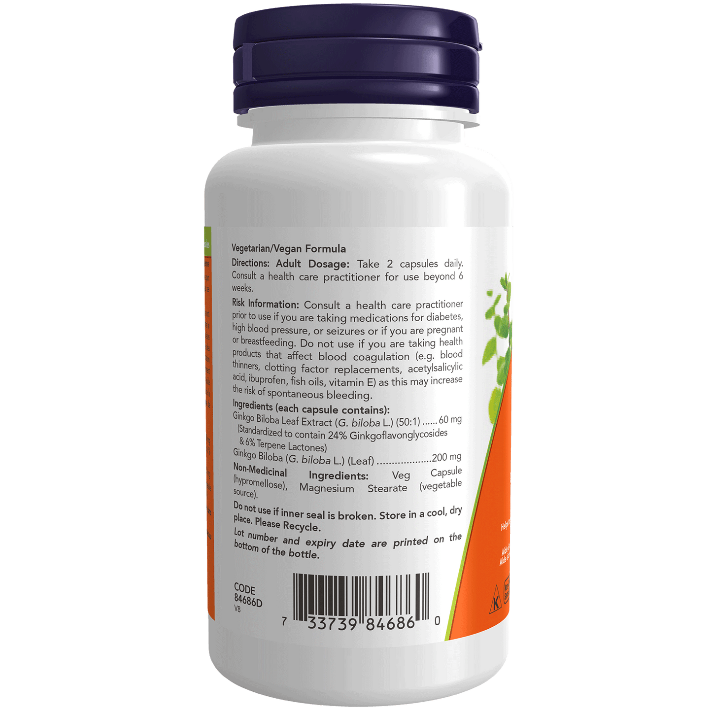 Ginkgo Biloba Extract 60 mg 120 Veg Capsules (S38)