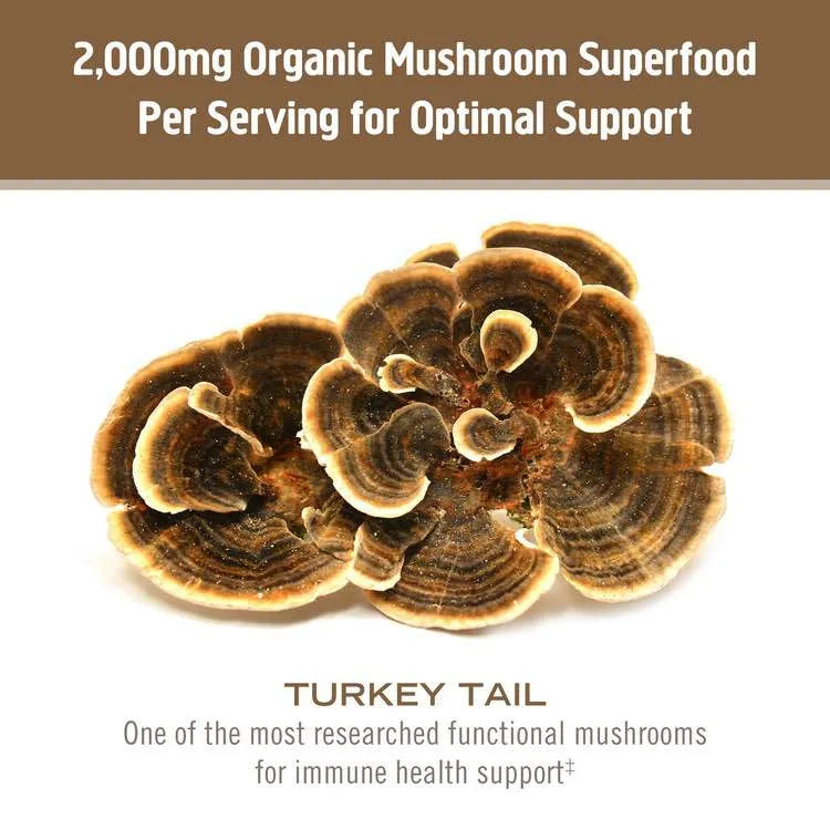 OM Mushroom, Turkey Tail, 667mg - 75 Vcaps ( S28 )